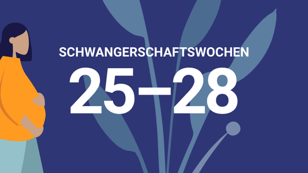 (Quelle: BIÖG/HN)
