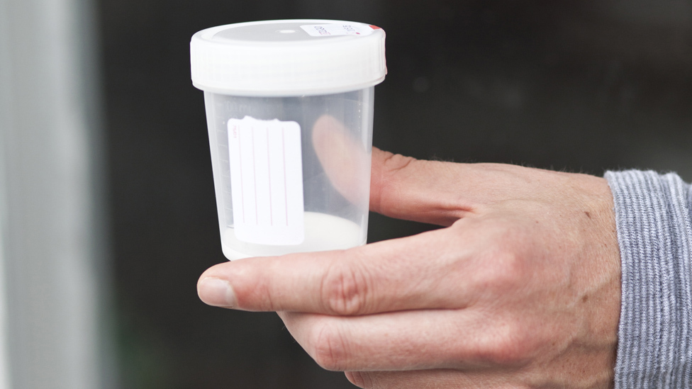 Die Samenübertragung (Insemination) (Quelle: BIÖG/HN/Eichhöfer) Becher für Spermaprobe