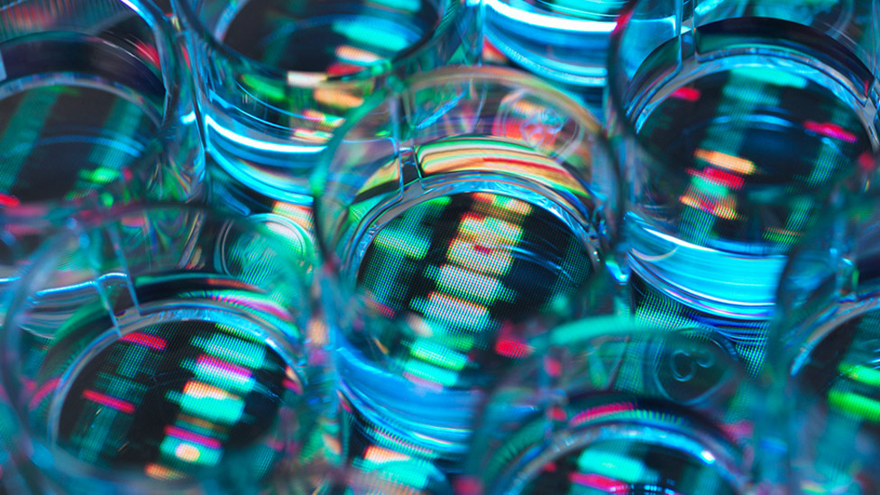 Präimplatationsdiagnostik (Quelle: DEEPOL by plainpicture/Andrew Brookes) Petrischalen mit Proben