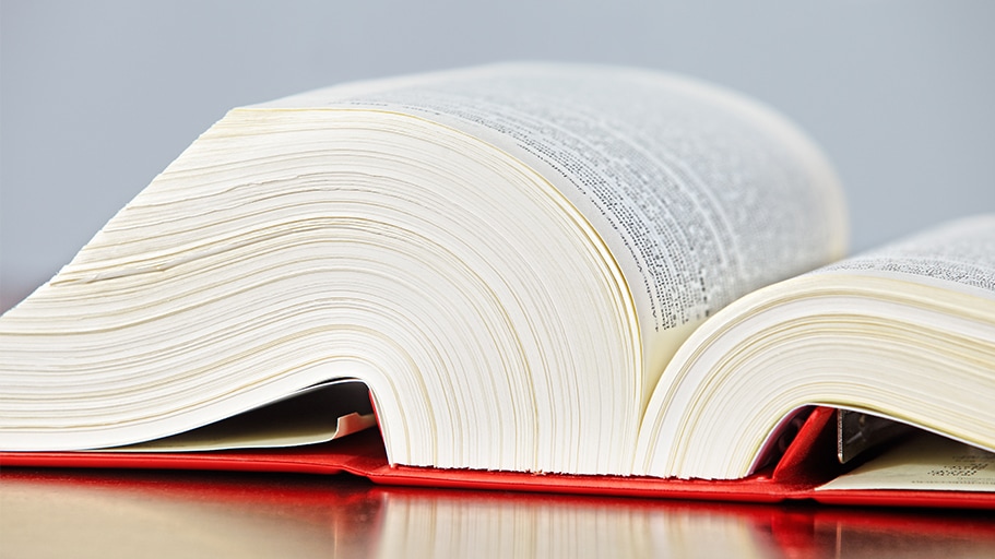 Die rechtlichen Grundlagen der Fortpflanzungsmedizin (Quelle: Ingo Bartussek - stock.adobe.com) Aufgeschlagenes Gesetzbuch