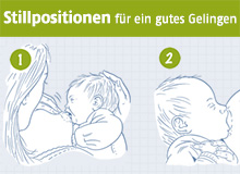 Stillpositionen (Quelle: BZgA/HN) Ausschnitt aus der Infografik zu Stillpositionen