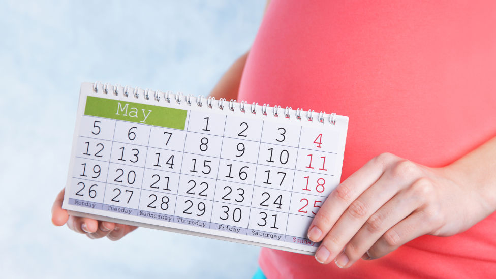 Schwangere Frau hält Kalender vor ihren Bauch