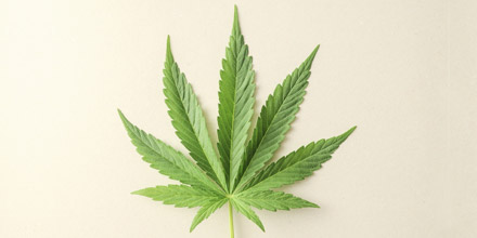 Cannabisblatt
